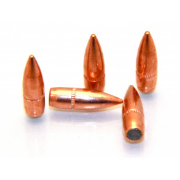 Armscor Bullets Cal. 223 62Gr