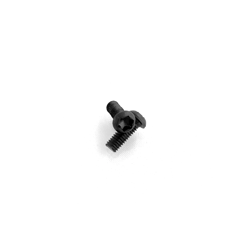 Grip Torx Screws