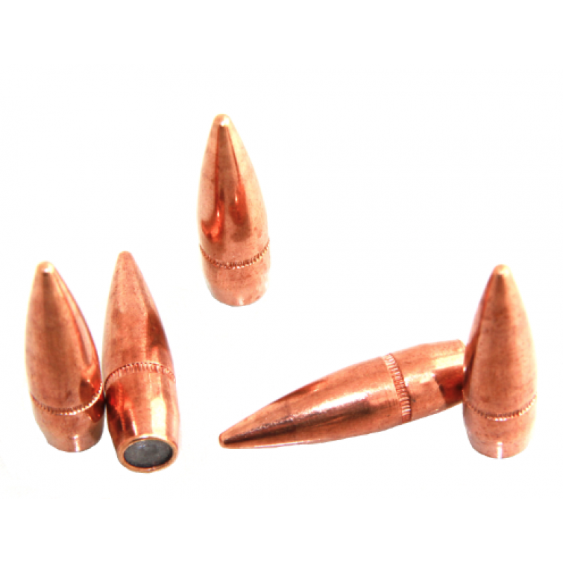 Armscor Bullets Cal.308 Win - 147Gr