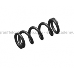 Hammer Catch Spring for...