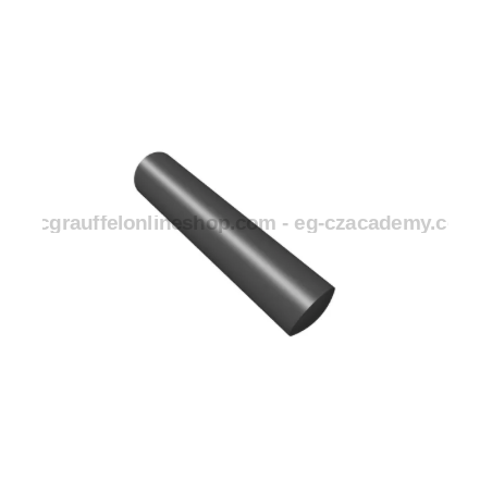 Extractor Pin CZ P-09 Duty