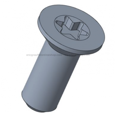 Vis plaque arrêtoir de chargeur CZ TS2/Shadow 2.
